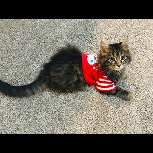 Meet your Posher, Molly